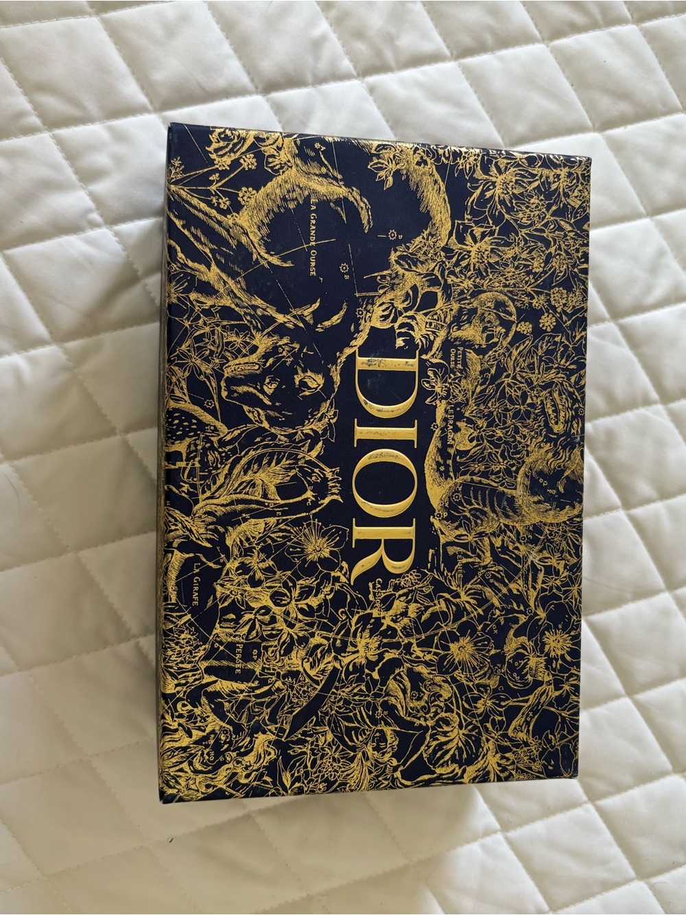 Dior Box with wrapping